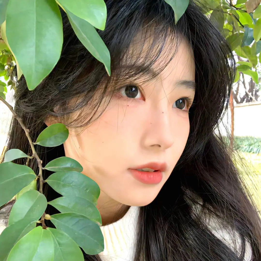异虫咒